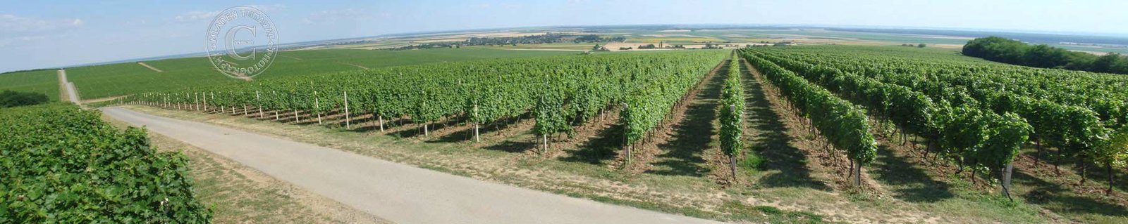 turistički vodič: pogled na južnu Baranju s vidikovca Belje na  Banskom brdu